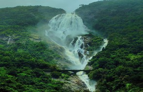 You are currently viewing Dudhsagar Falls